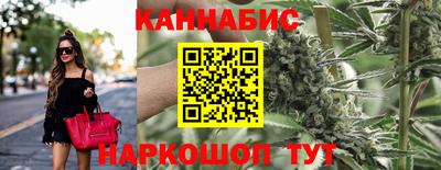 сатива Сланцы