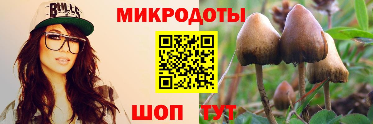 Протвино  Галлюциногенные грибы Psilocybe  Вход с VPN 
